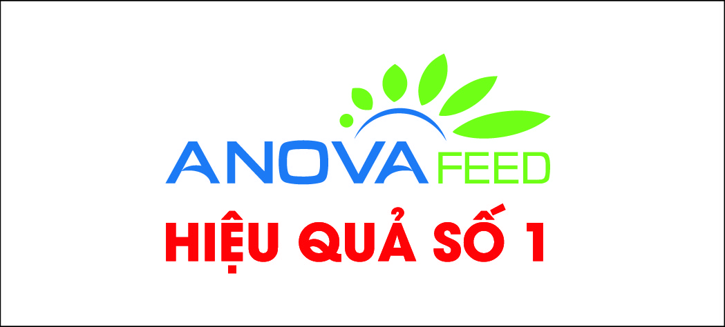 logo thức ăn chăn nuôi Anova